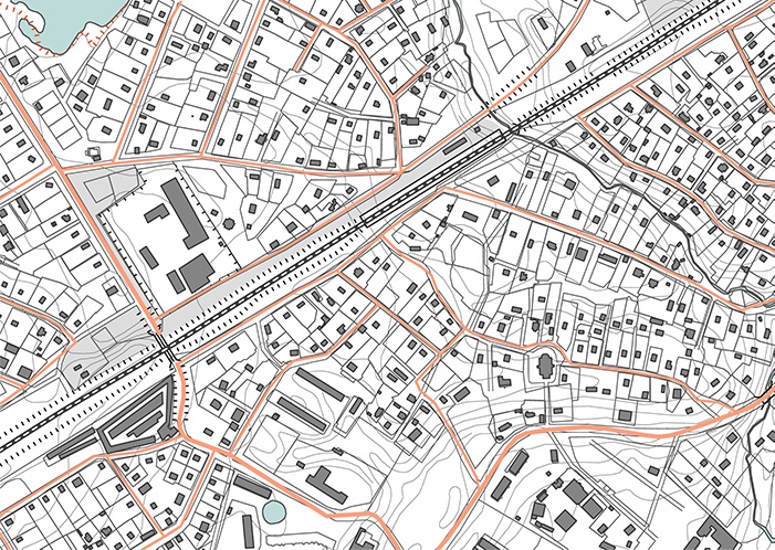 topographic
